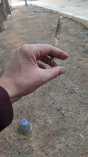 A hand holds a slender, patterned object, possibly a rolled smoking item. The background is an outdoor area with dry, patchy grass and a plastic bottle on the ground. The image captures the earth tones of the surroundings and the relaxed posture of the hand.