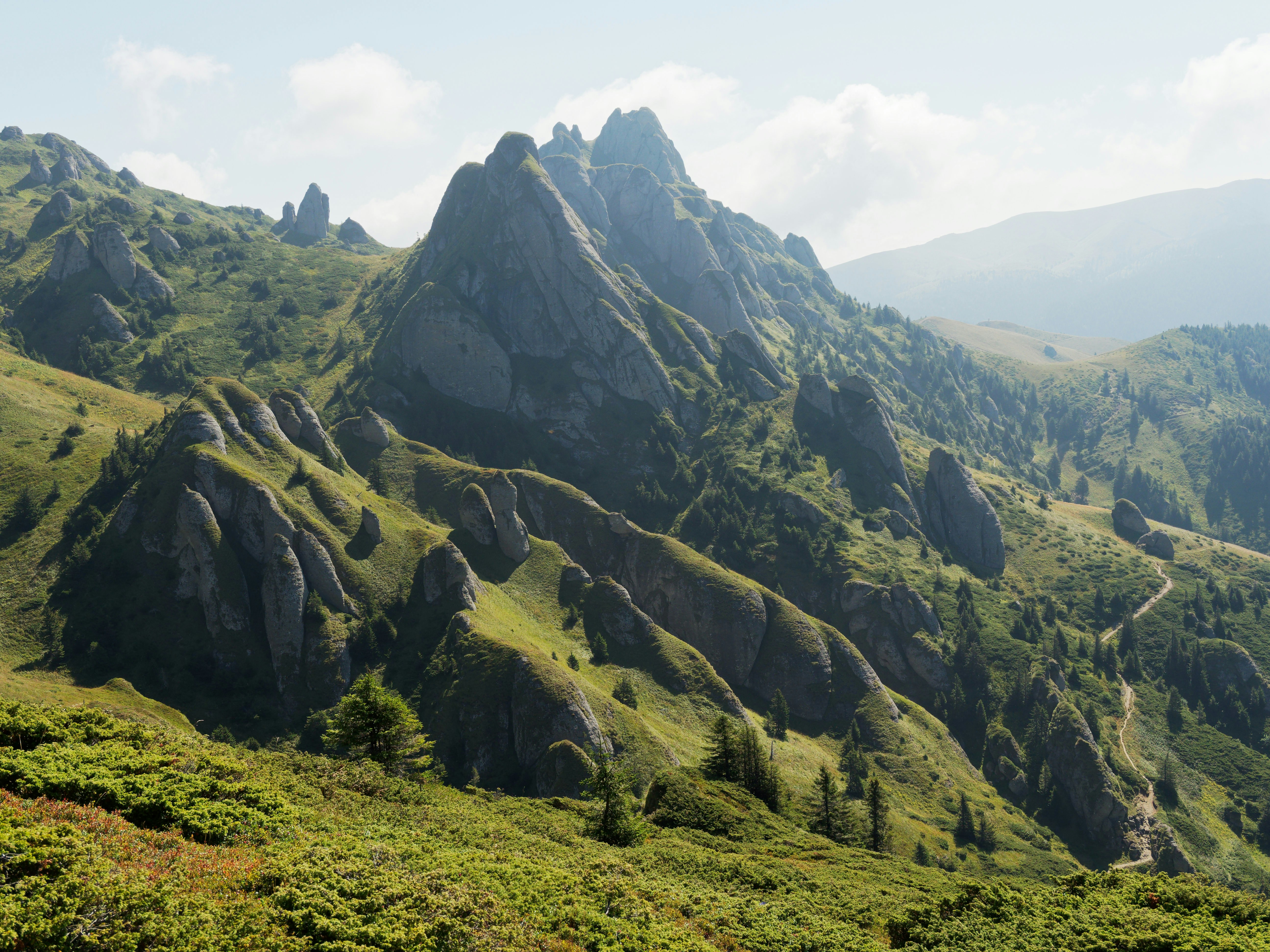 Photo by illes_cristi