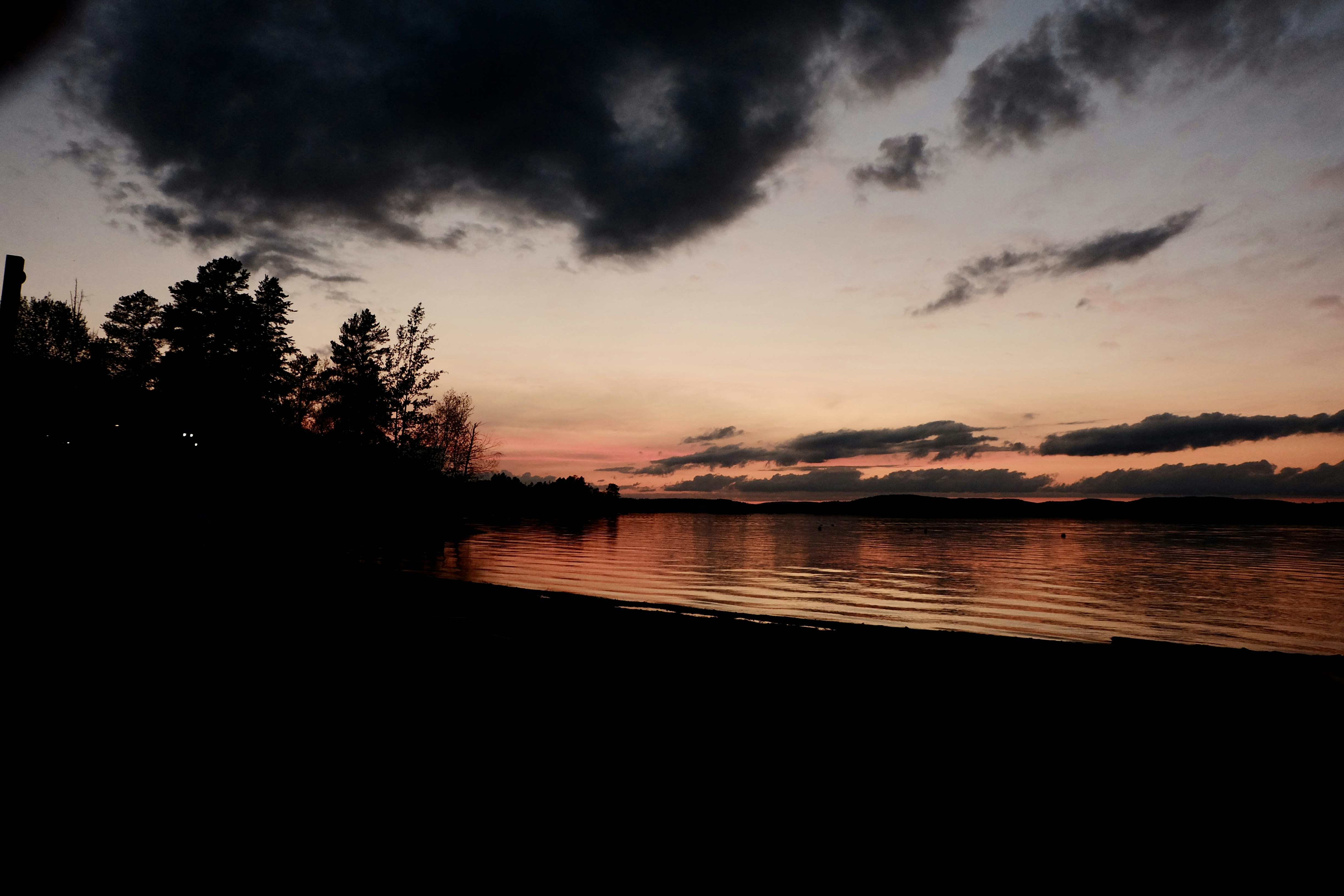 a body of water with trees and clouds in the sky