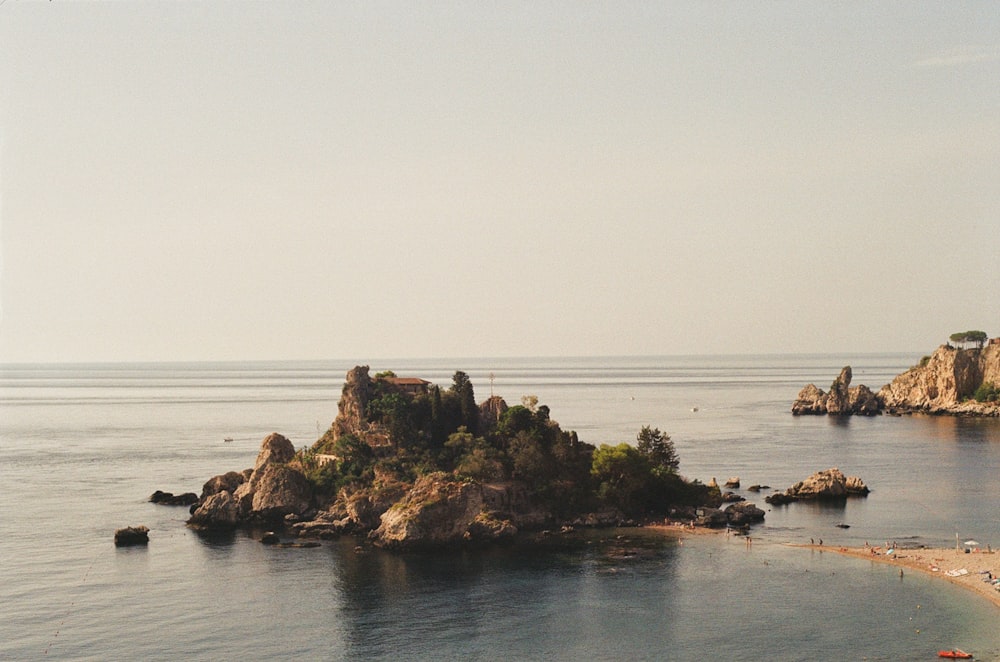 Une petite île avec des arbres