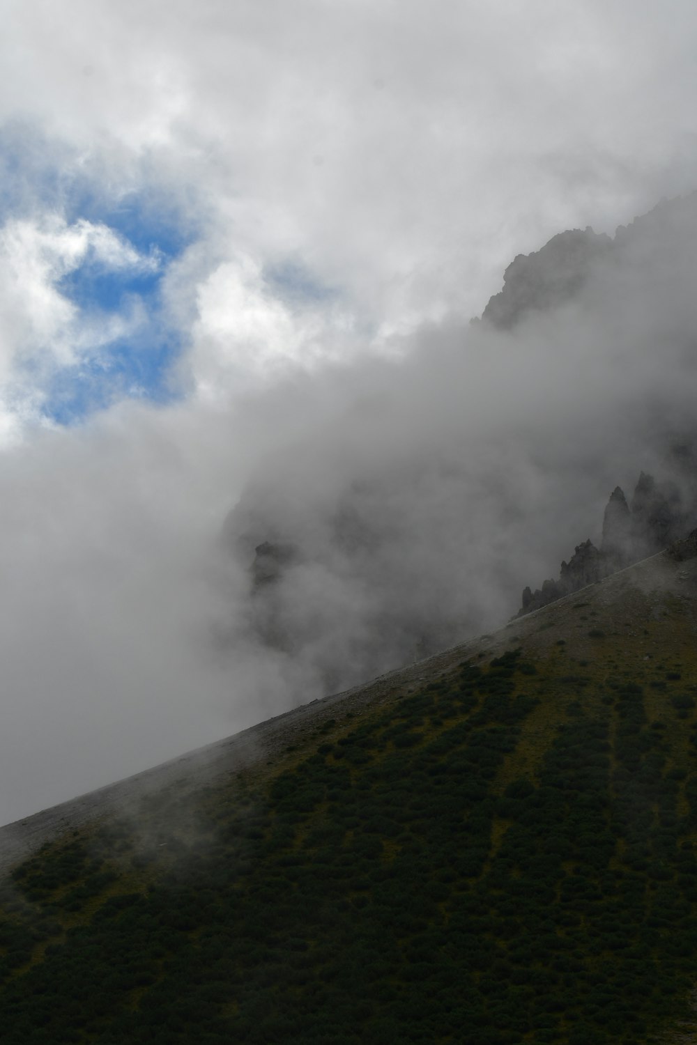 a foggy valley with trees