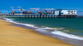 a beach with a pier and buildings