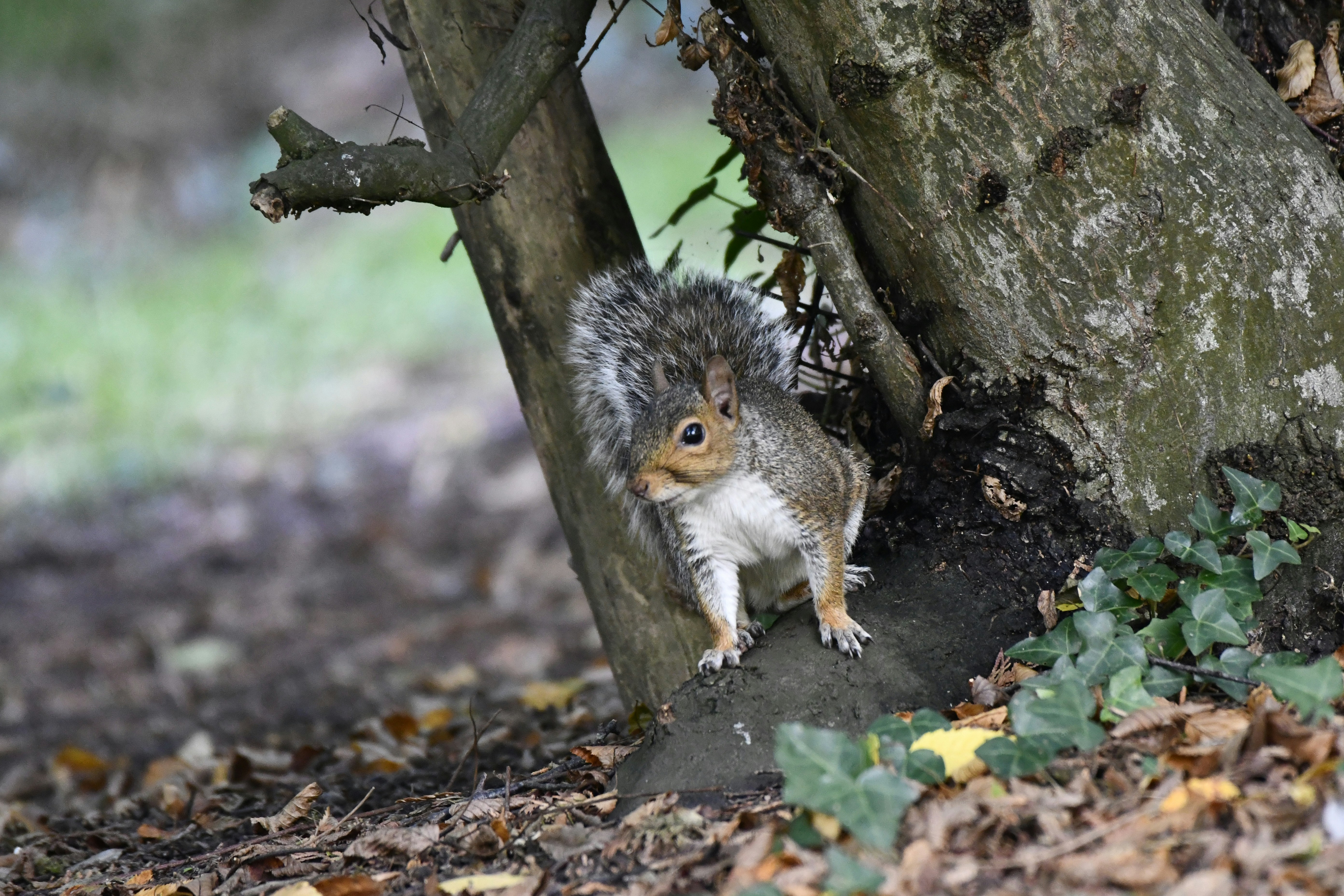 Photo by wrishi2004m