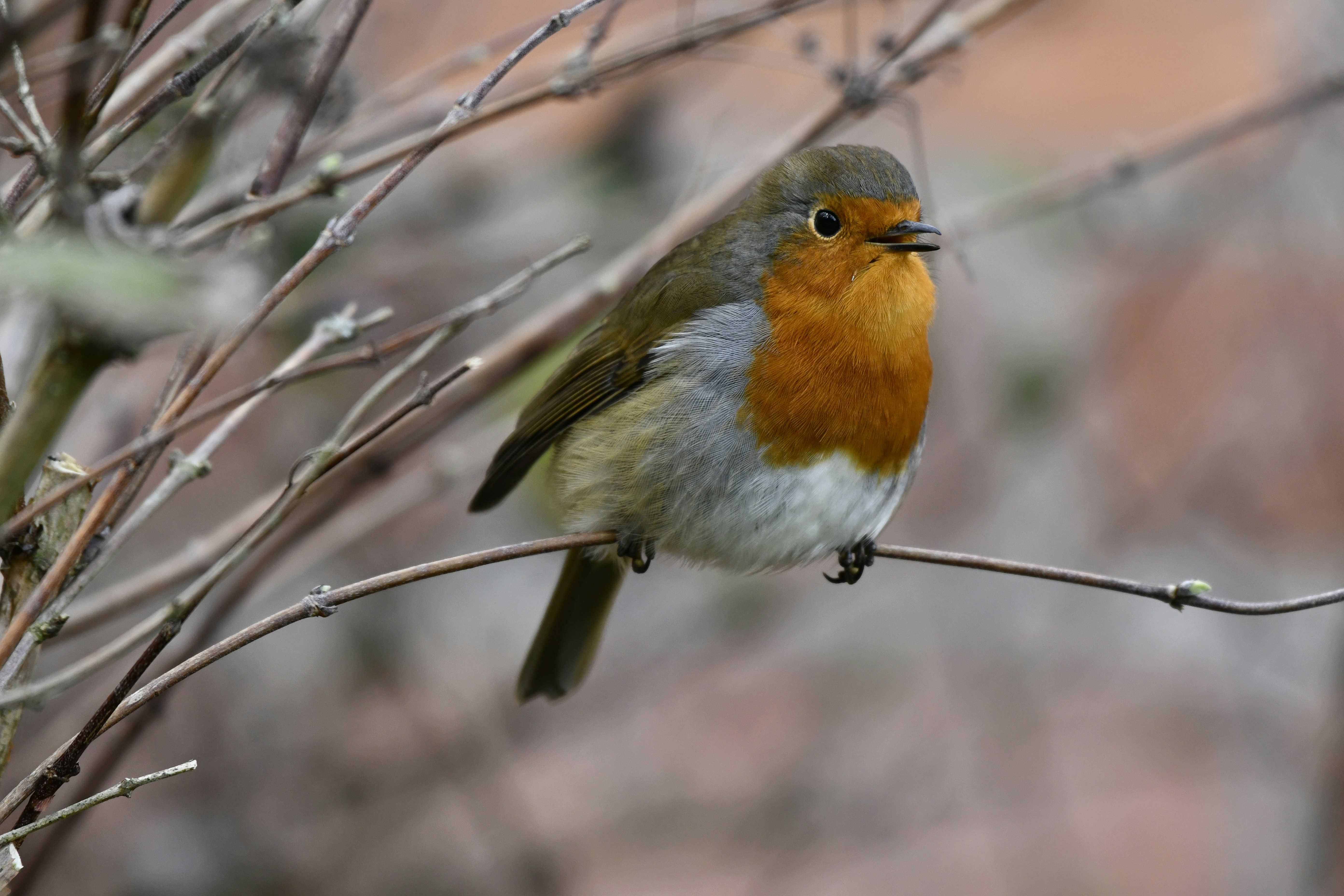 Photo by wrishi2004m