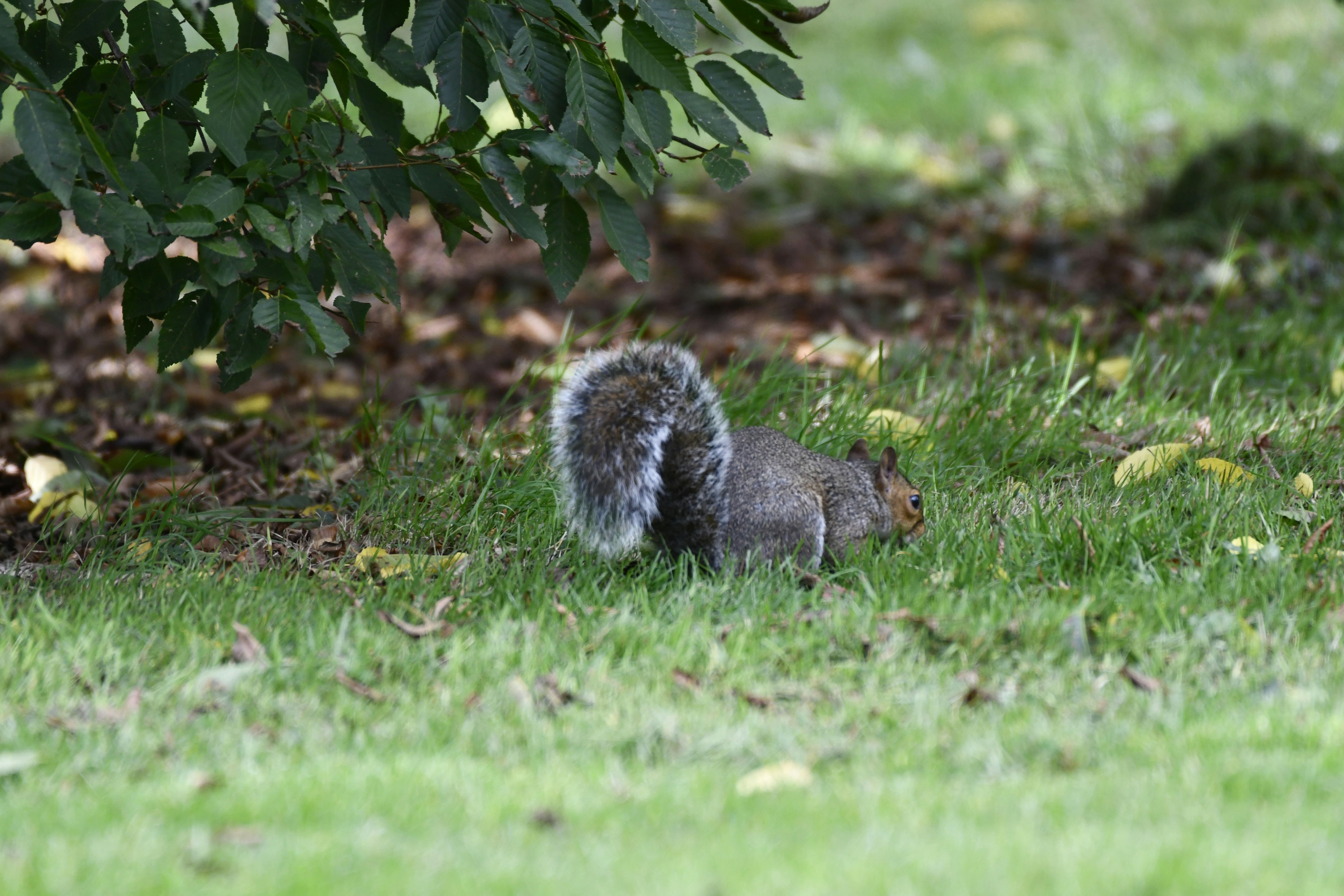 Photo by wrishi2004m