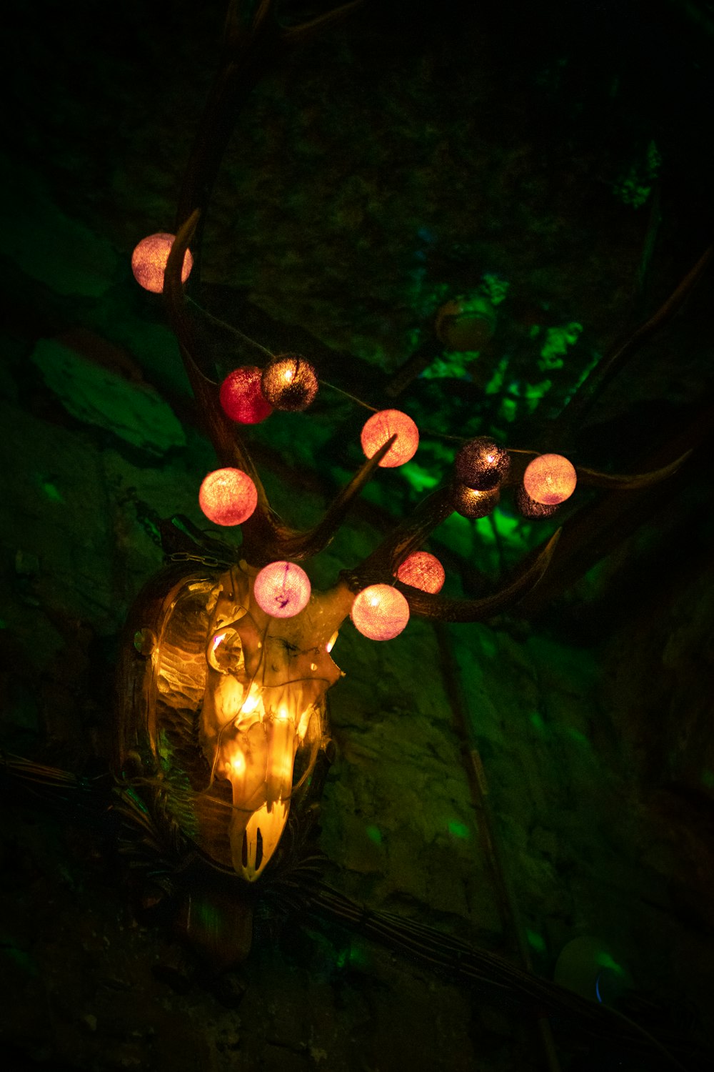 Un árbol con luces