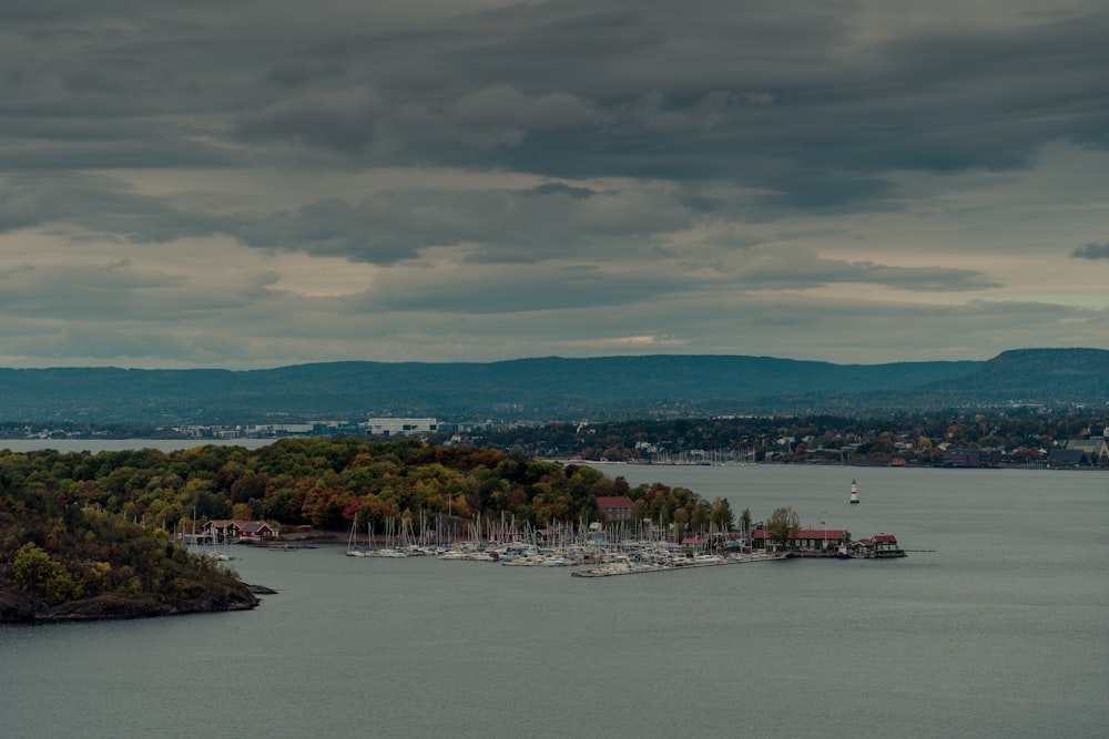 a body of water with trees and buildings along it