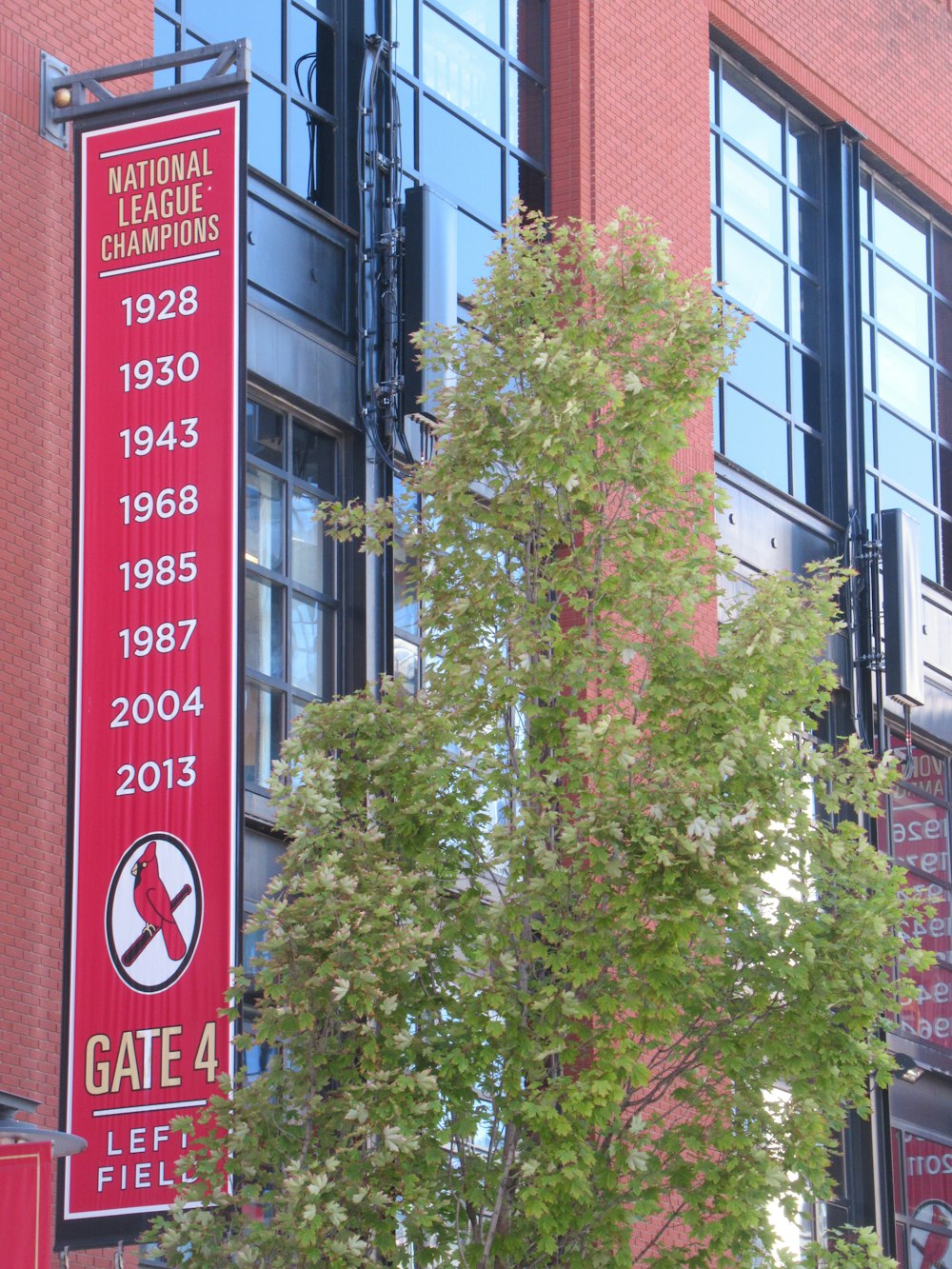 a tree with flowers in front of a building