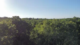 A satellite view capturing vast green forests under a clear blue sky.