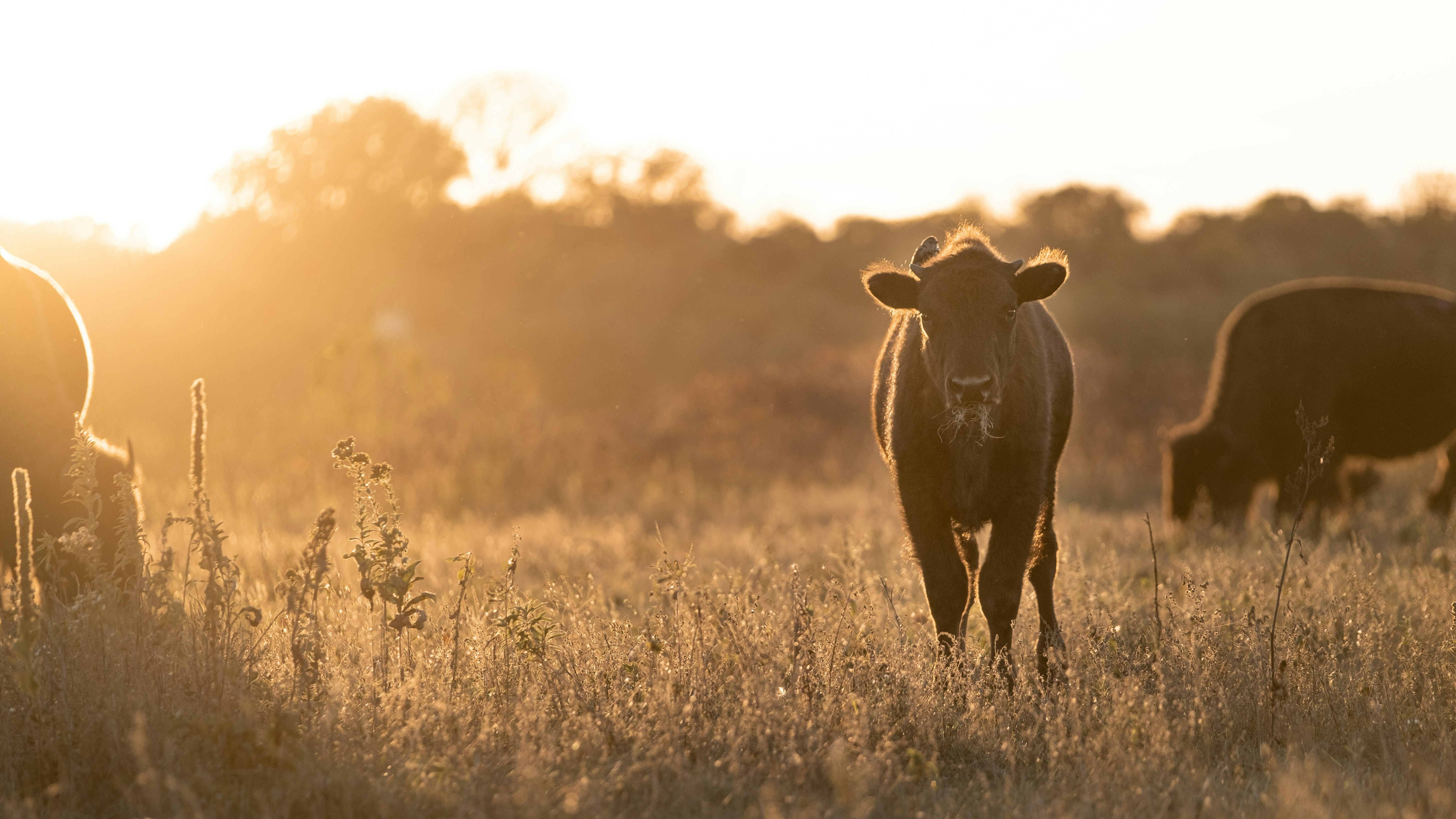 Photo by aydenjensonmedia