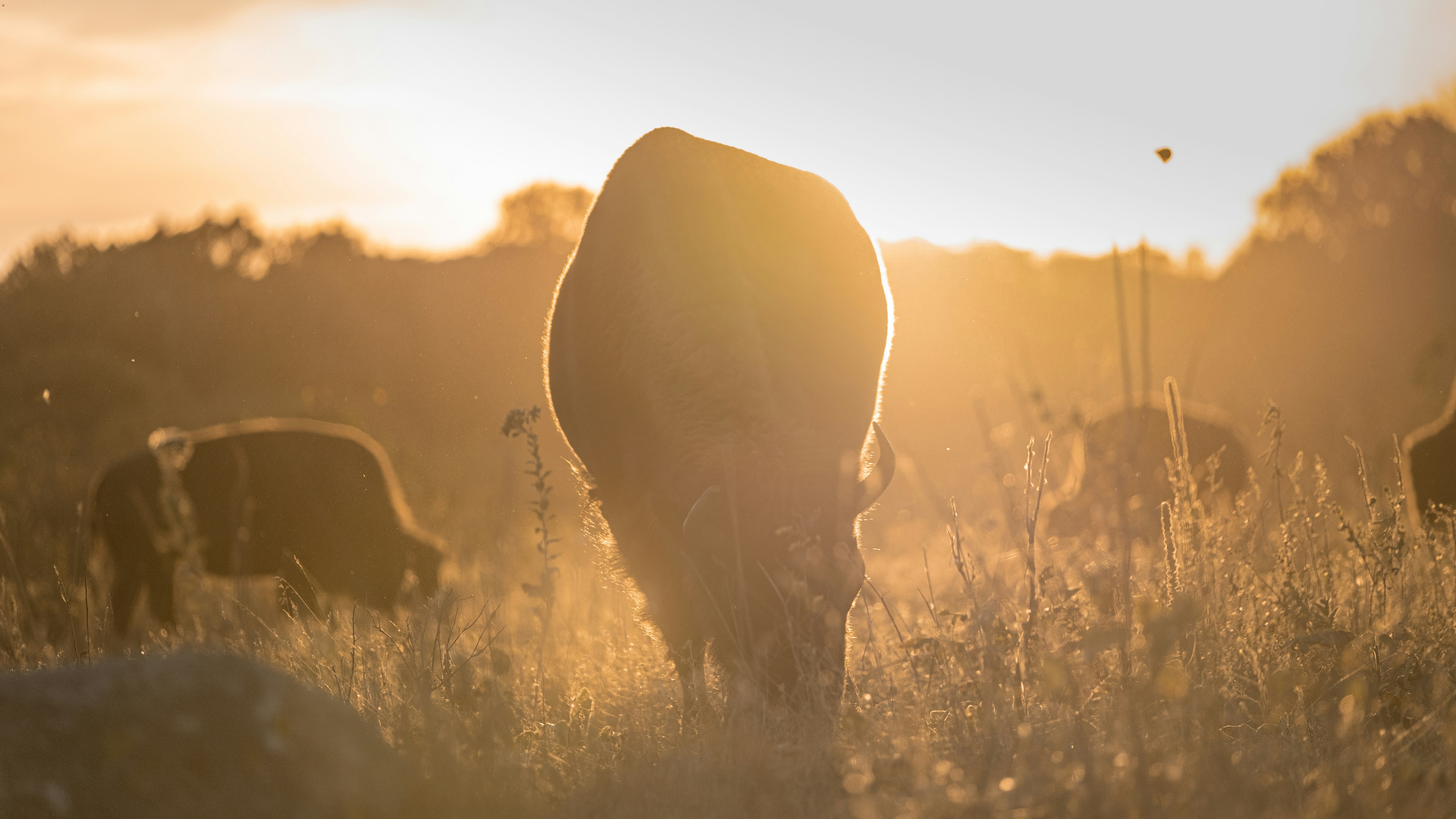 Photo by aydenjensonmedia