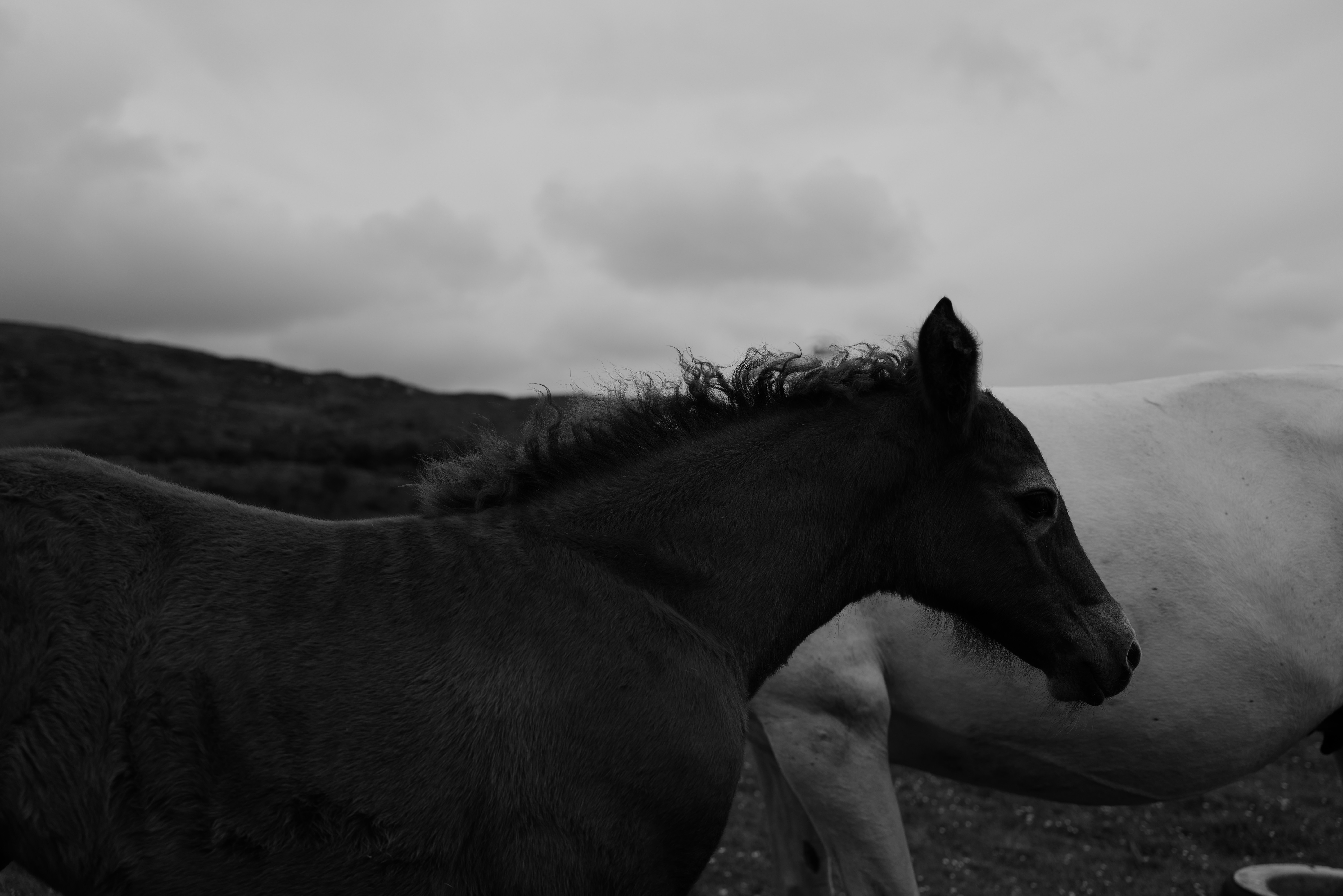 Photo by gloriaborsellino