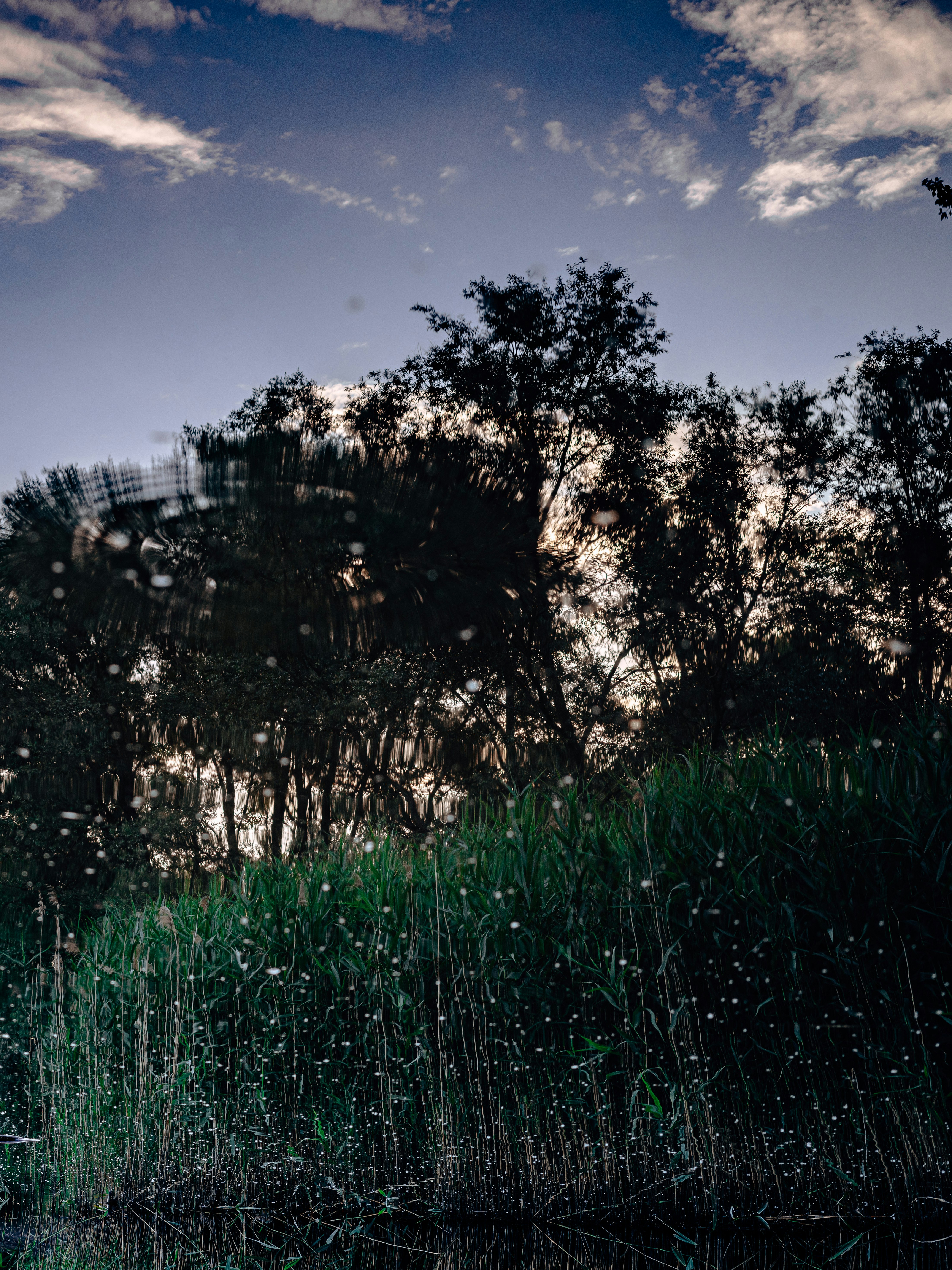 Photo by egorkomarov