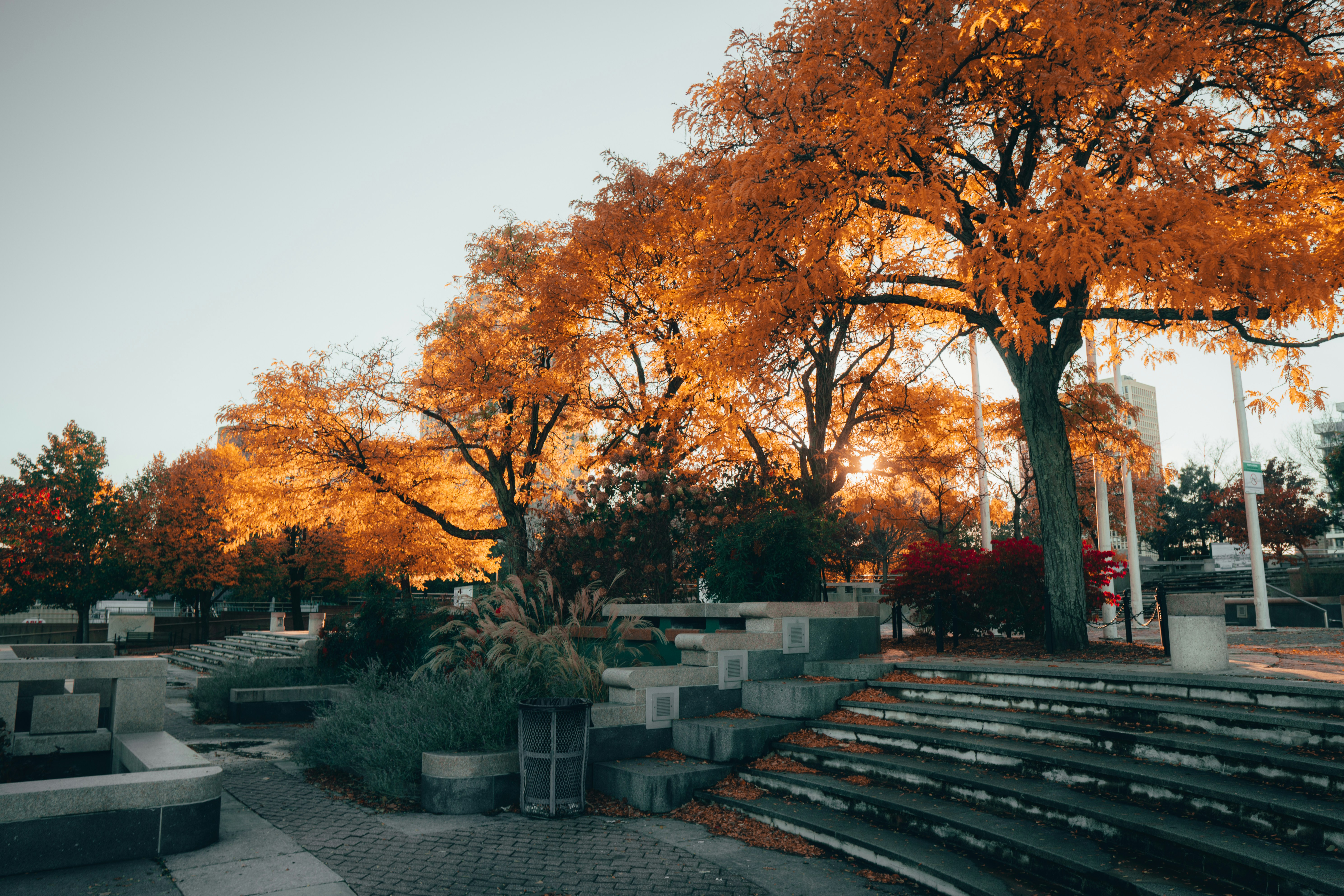 Photo by andrescolmen