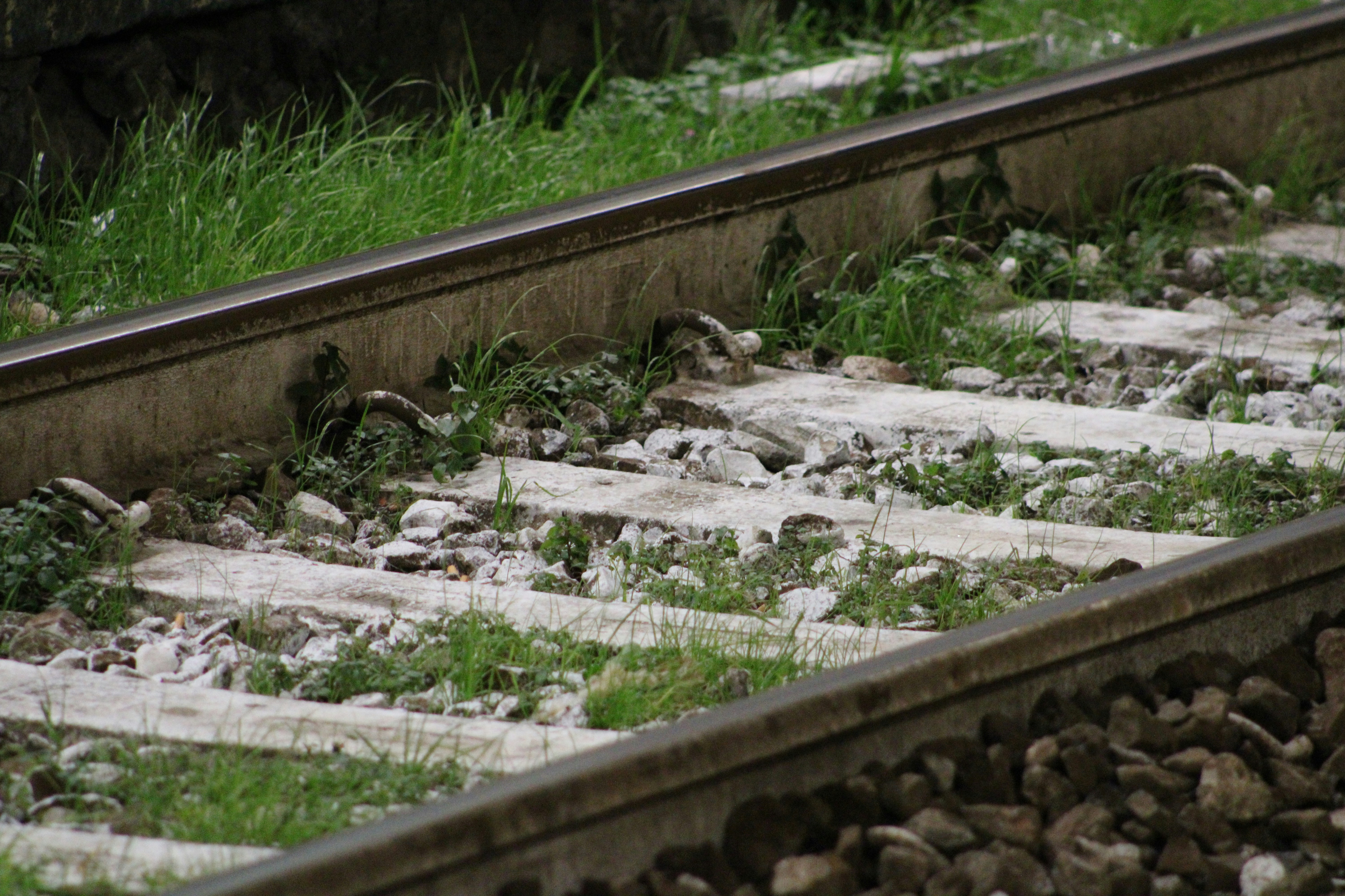 a close-up of a bridge