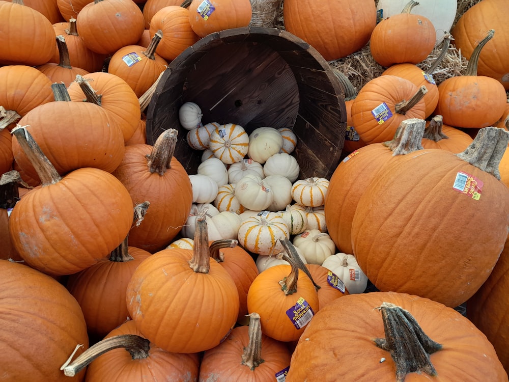 a pile of pumpkins