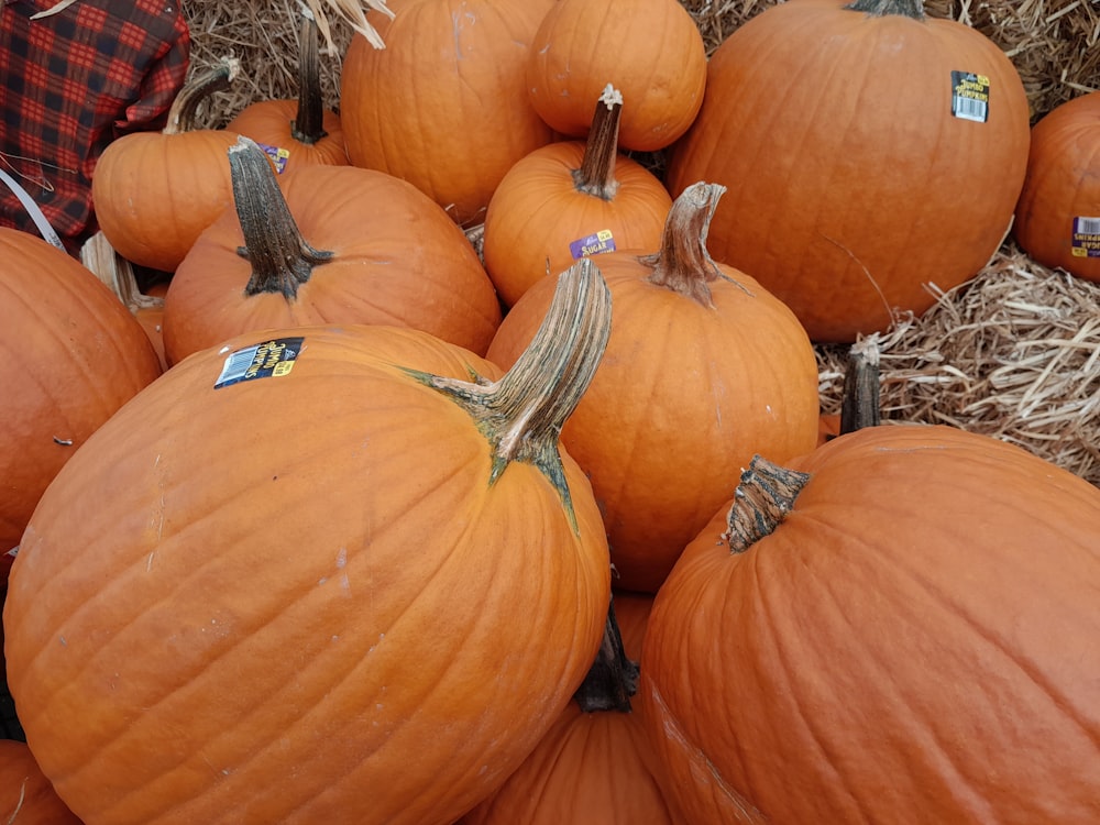 a pile of pumpkins