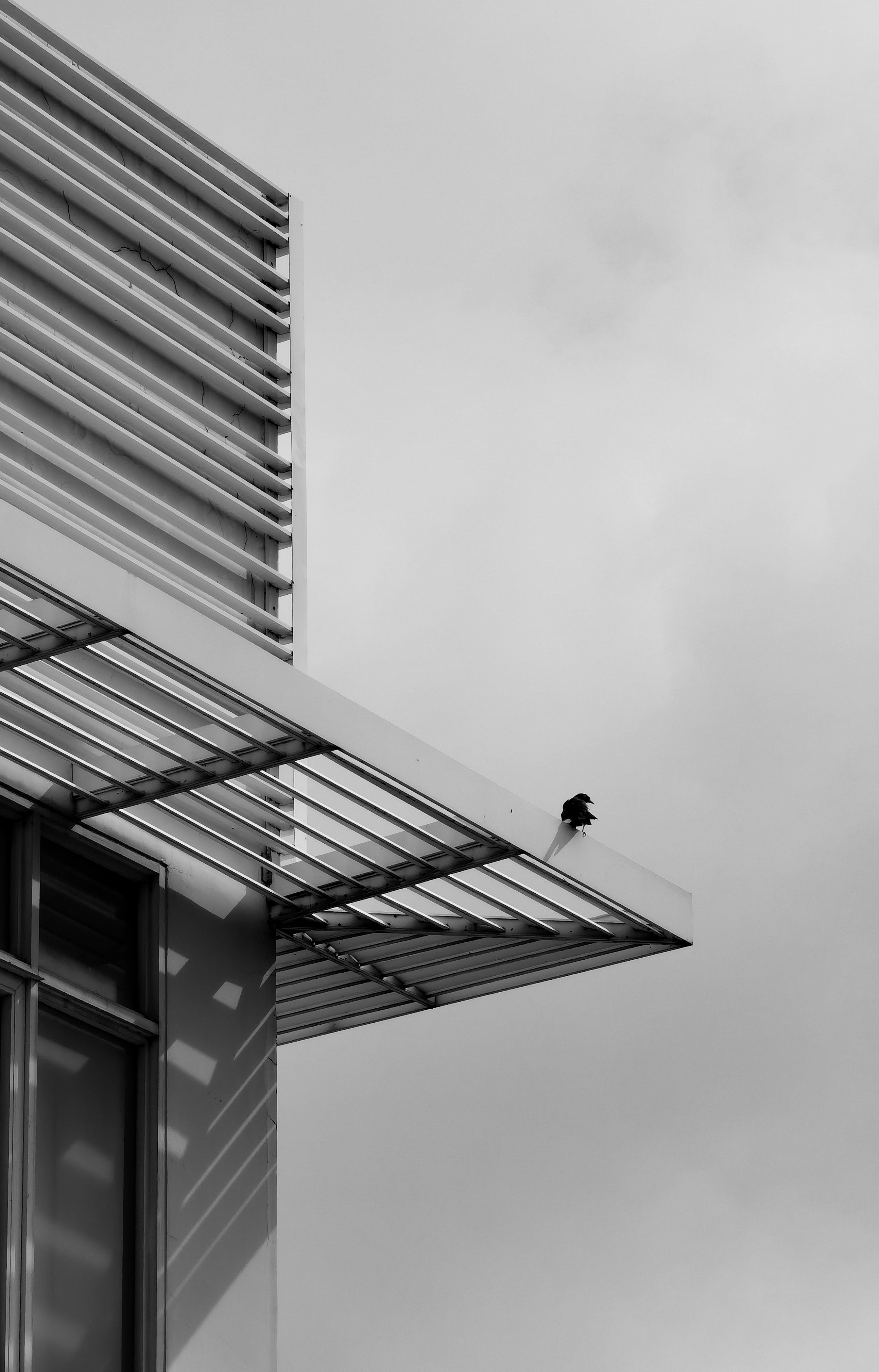 The Trend Towards Solar Integration In Commercial Roofs In Sydney