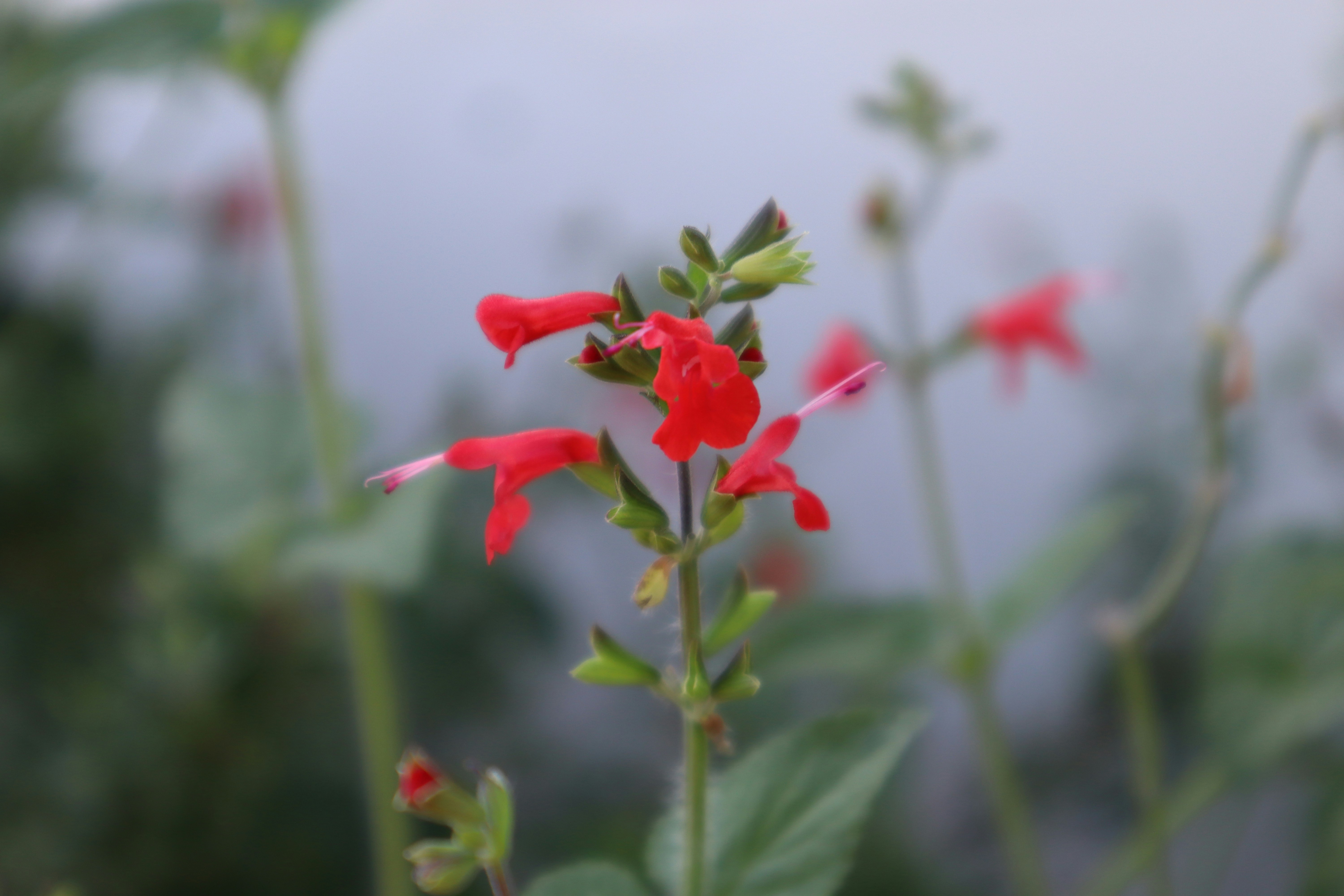 Photo by _allieastorga_