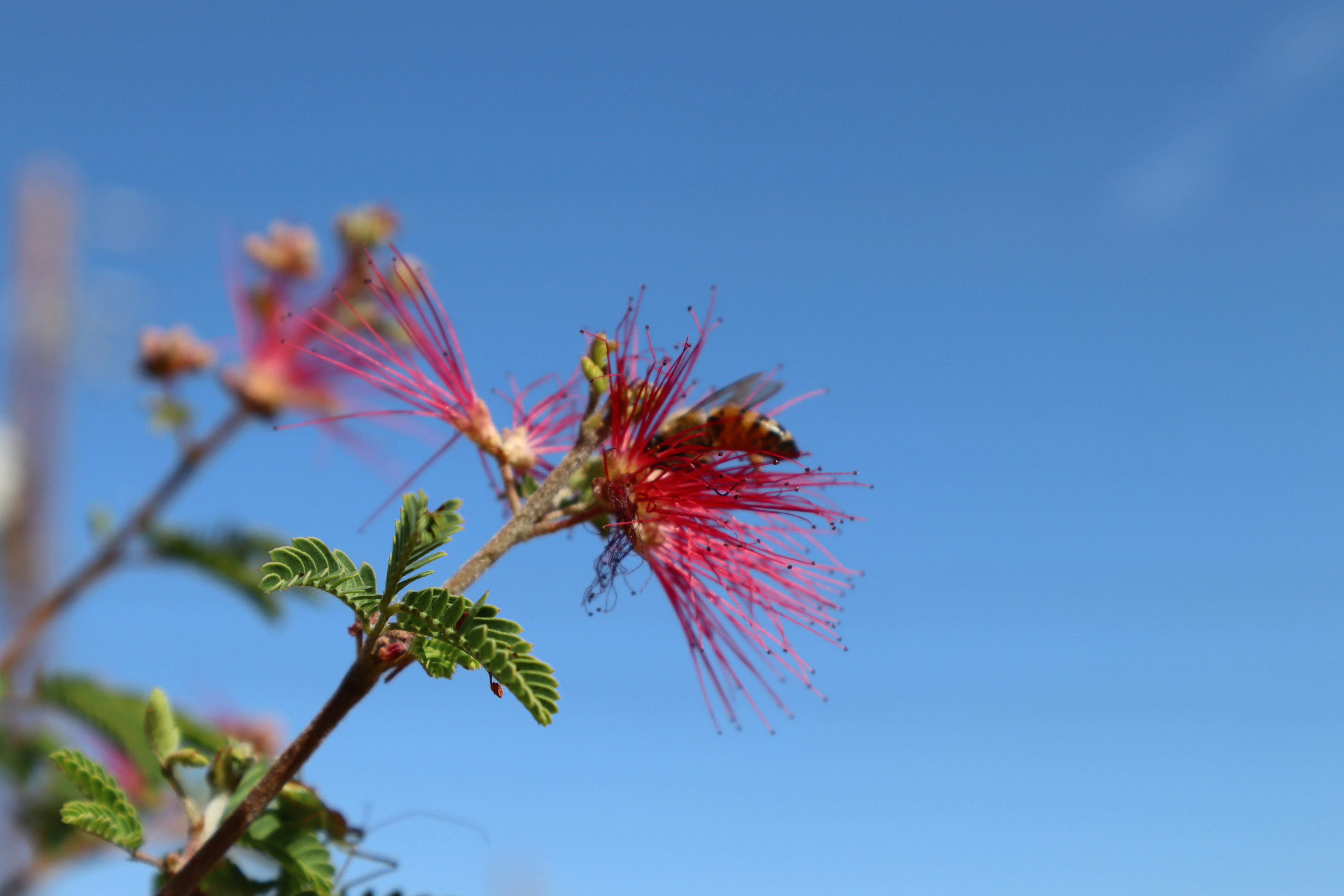 Photo by _allieastorga_