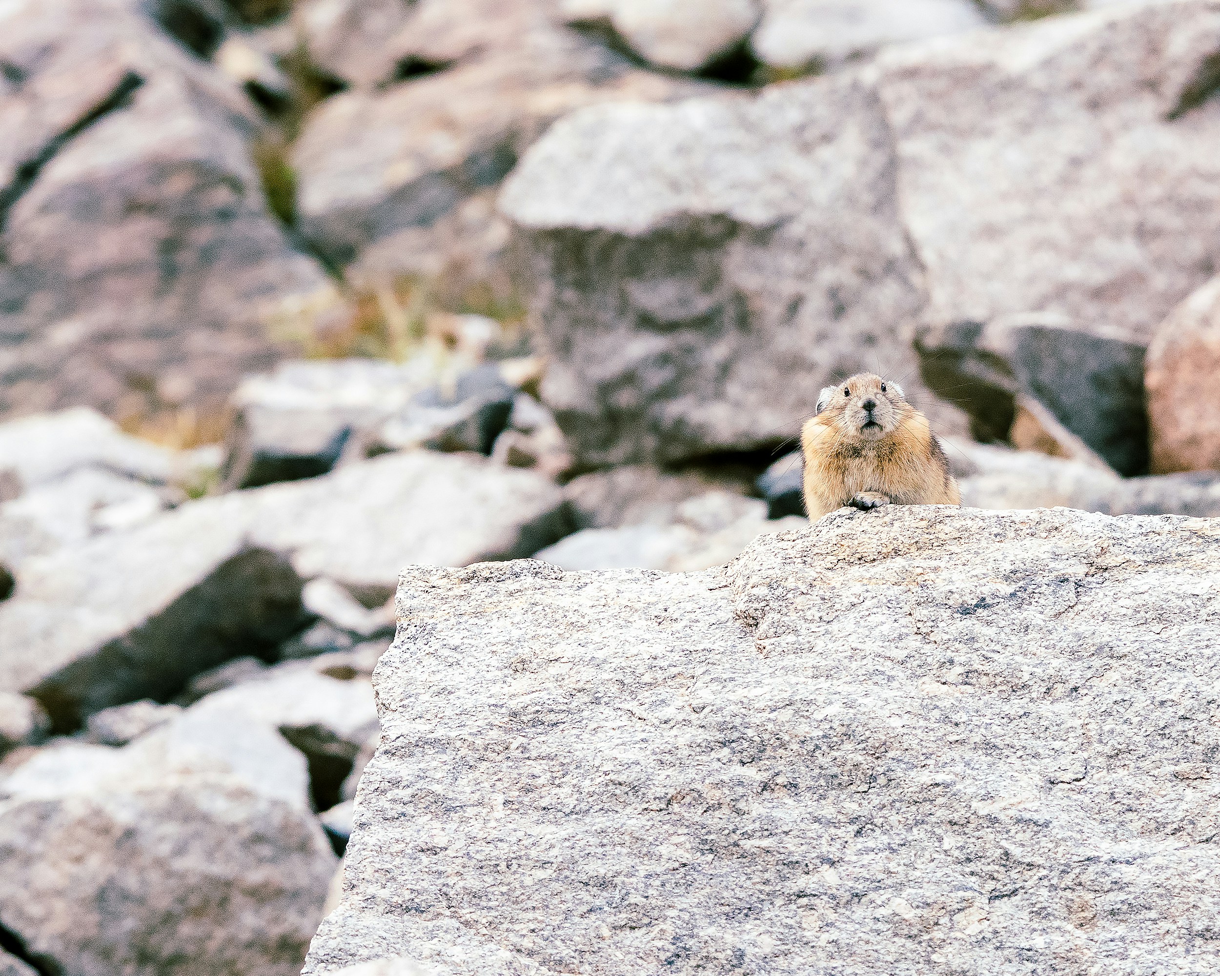 Photo by andyasmarketing