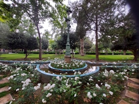 A landscaped garden features an ornate lamppost in the center, surrounded by a circular water feature. The garden is lush with green trees and plants, alongside a neatly arranged border of white blooming flowers.
