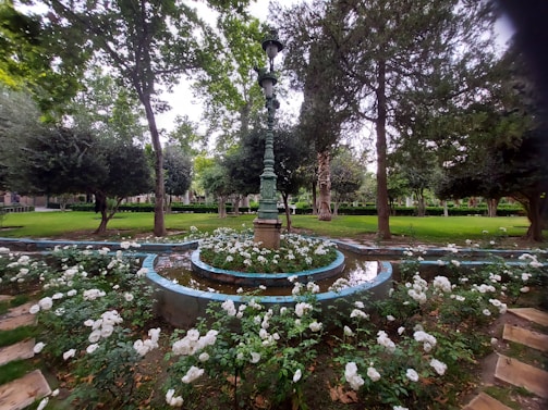 A landscaped garden features an ornate lamppost in the center, surrounded by a circular water feature. The garden is lush with green trees and plants, alongside a neatly arranged border of white blooming flowers.