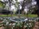 A landscaped garden features an ornate lamppost in the center, surrounded by a circular water feature. The garden is lush with green trees and plants, alongside a neatly arranged border of white blooming flowers.