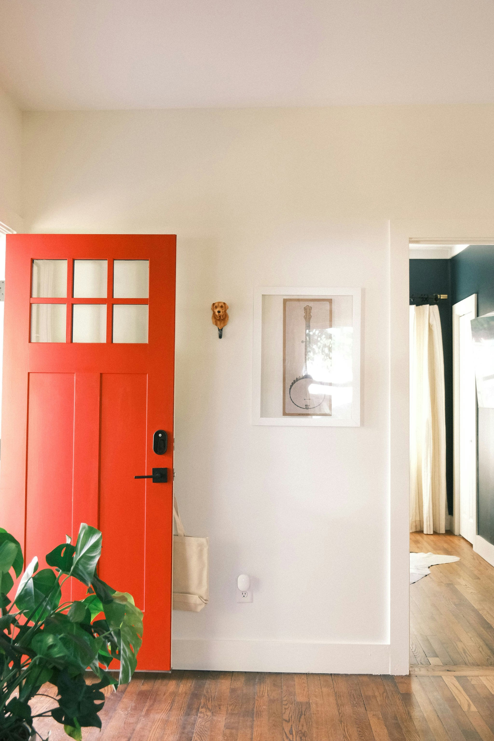 Photo by taylorheeryphoto