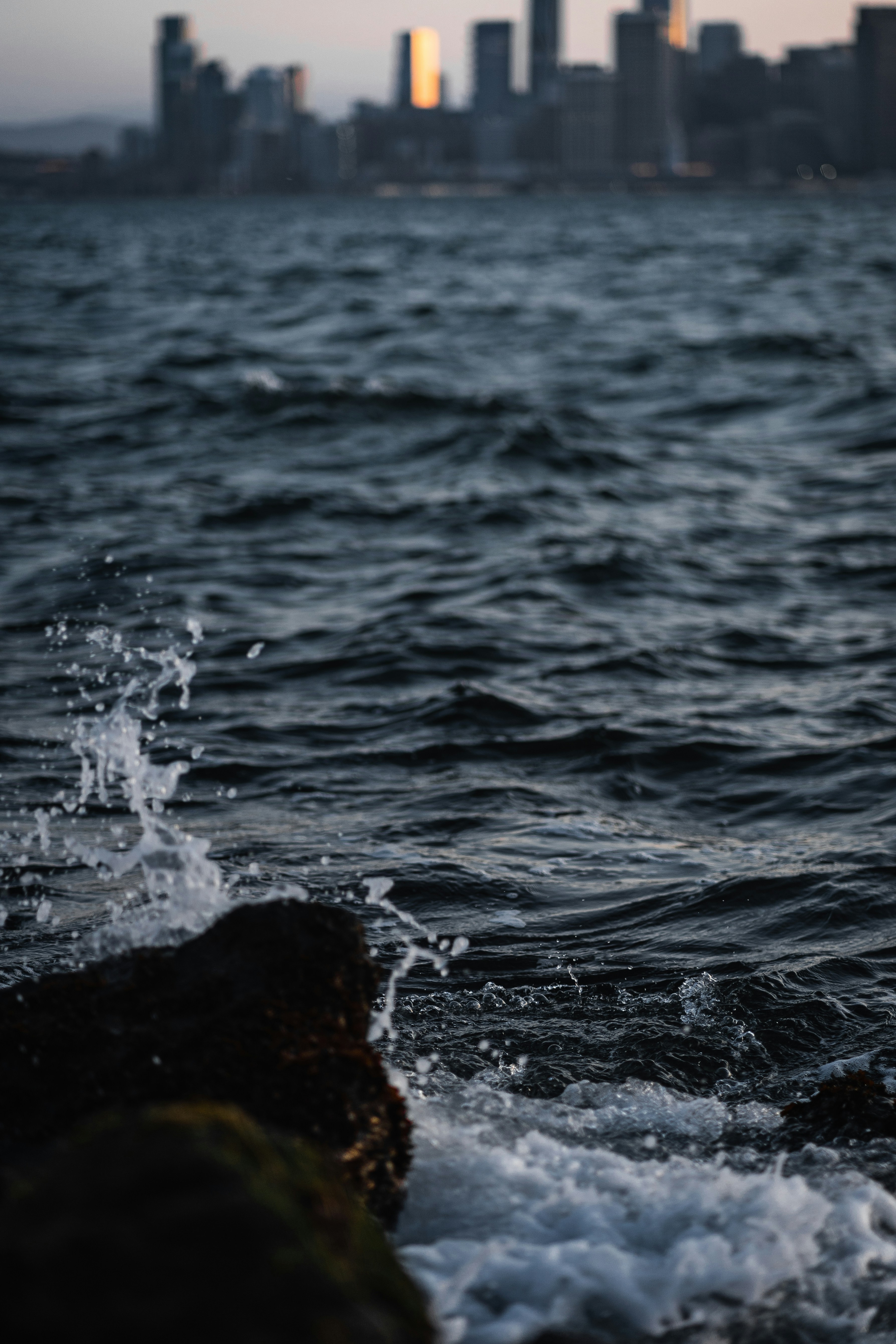 Photo by kalaniparker