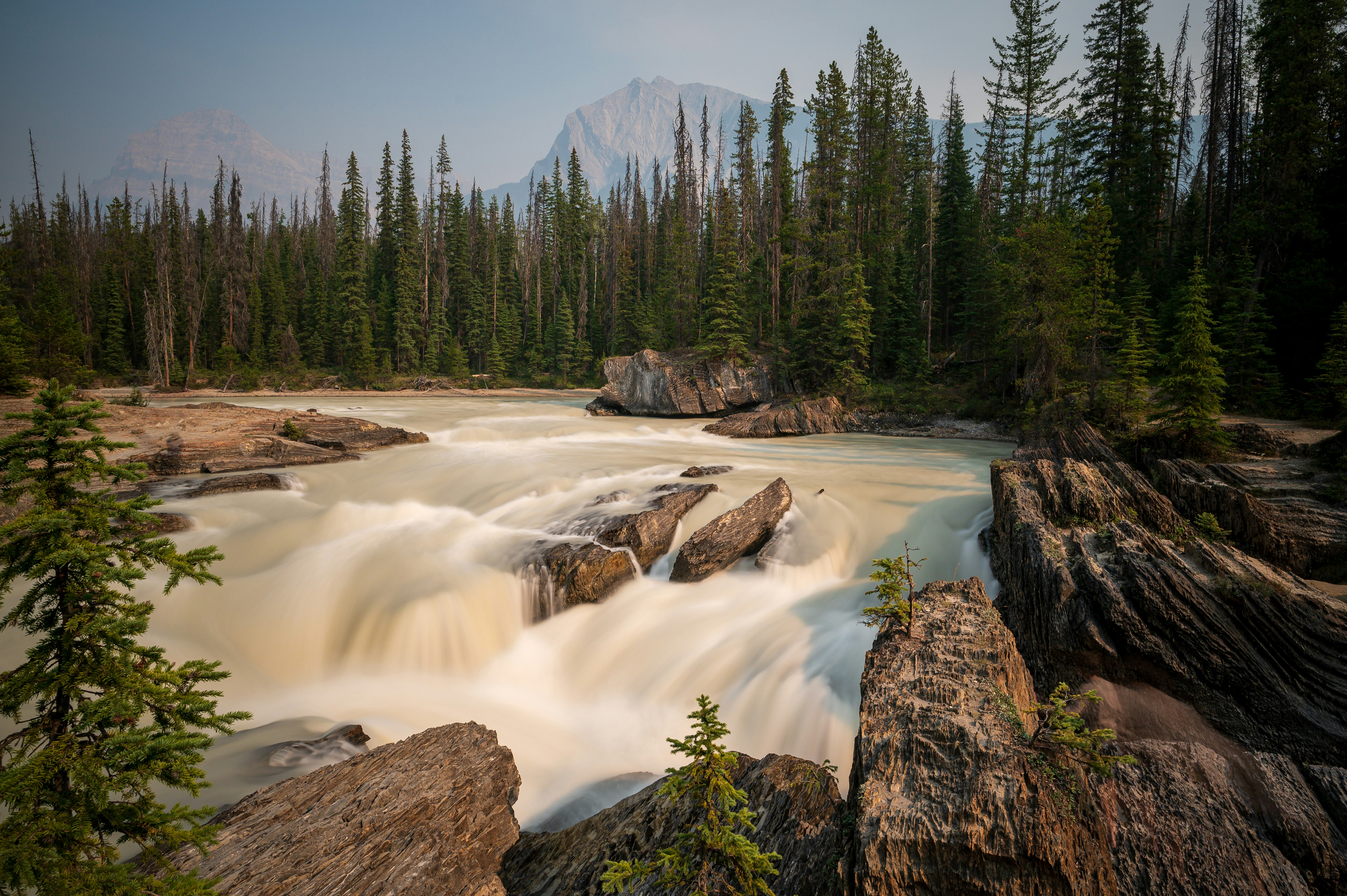 a river with Sunwapta Falls and trees