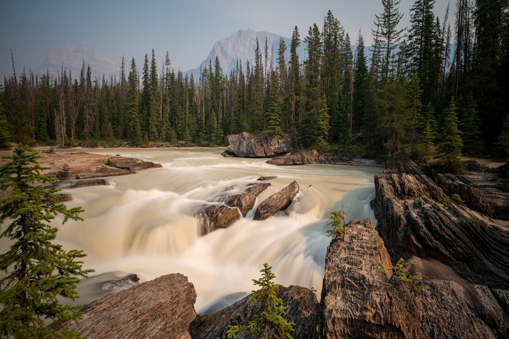 a river with Sunwapta Falls and trees