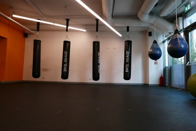 Various speed bags displayed on a wooden rack in a training studio.