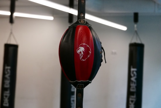A close-up view of a red and black speed bag with a lion emblem in the center, hanging in a gym setting. In the background, several punching bags are visible, indicating a training environment.