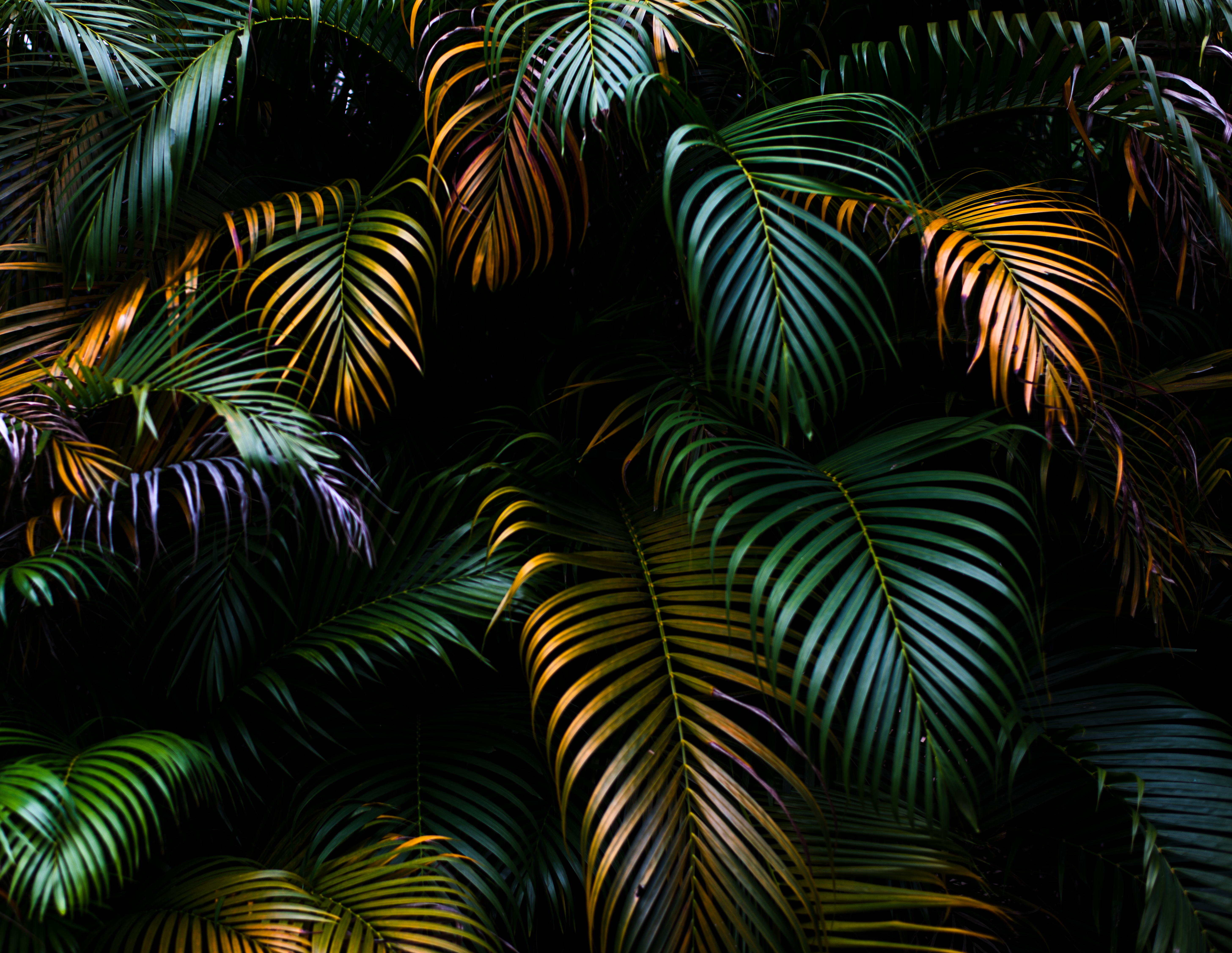 Photo by smithclukas