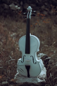 a guitar on a rock