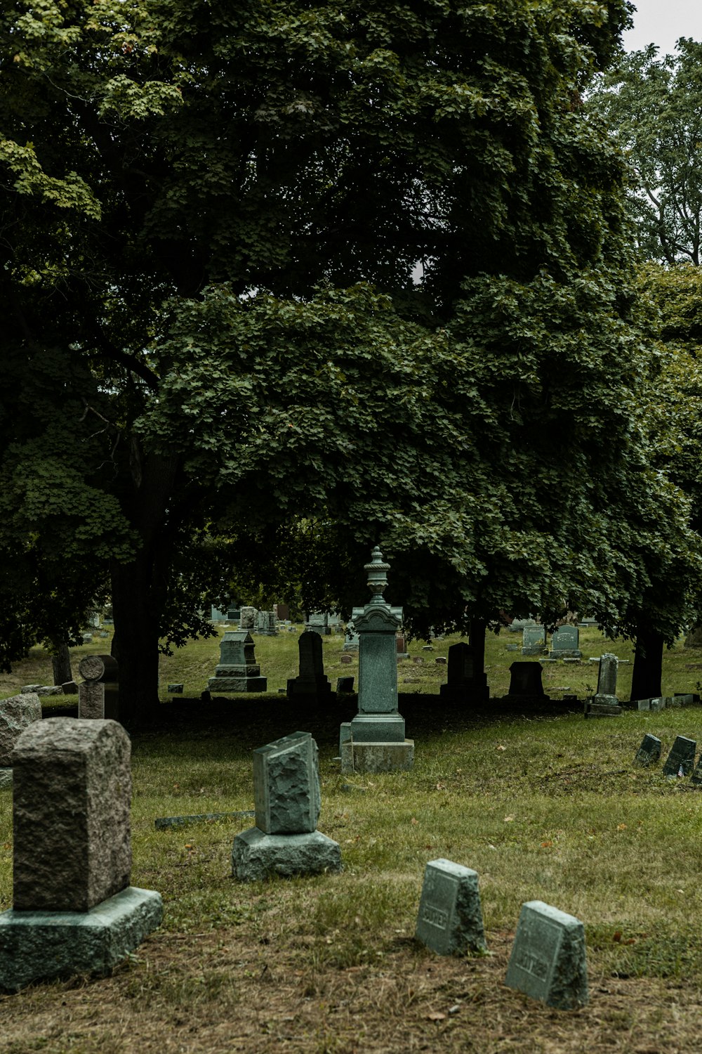 a cemetery with many headstones