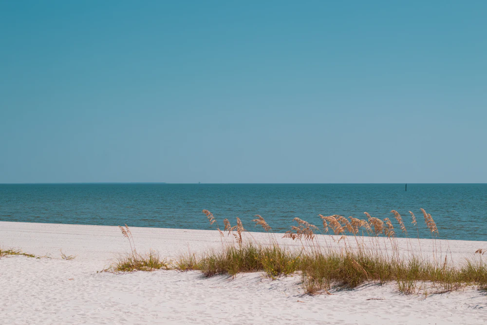 Sandy beach with sea oats on the Mississippi Gulf Coast