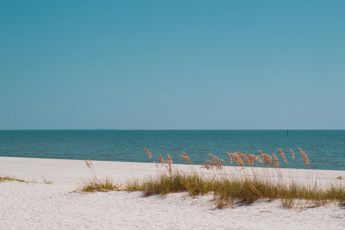 A wide, entirely empty white sand beach in Mississippi, clumps of yellowish sea oats in the foreground, flat teal-green Gulf water behind and a clear blue sky with no clouds