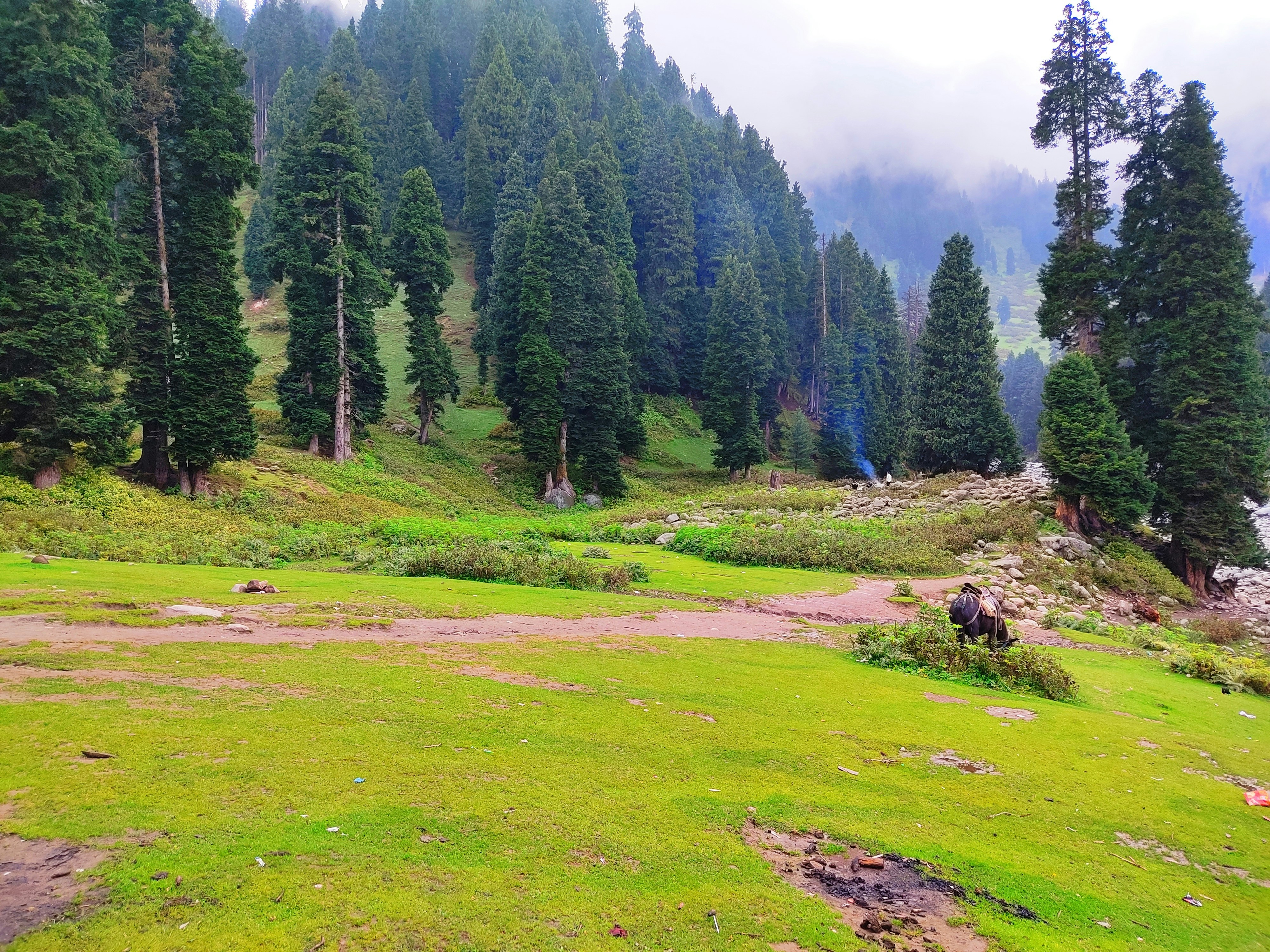 Bacalhau à Bras Traditional Recipe