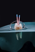 A dental setting featuring a tooth model with two endodontic files inserted into it. The tooth is held in place by a dental clamp positioned over a rubber dam, which is used to isolate the area during dental procedures. The background is dark to emphasize the dental equipment in the foreground.