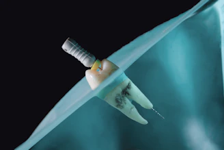 a close-up of a white praying mantis