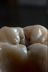 a close up of some food