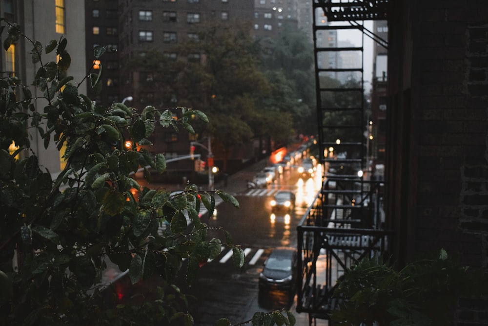 a street with cars and trees