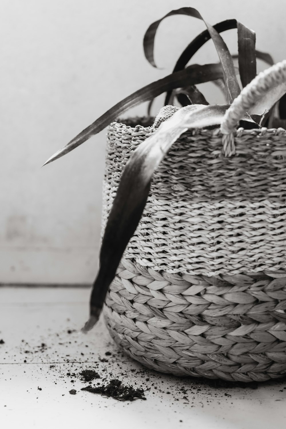 a bird sitting on a basket