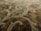 An intricately patterned carpet featuring swirling, abstract designs with an ornate floral-style motif. The fibers show a blend of colors including earthy tones, creating a textured and rich appearance.