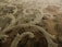 An intricately patterned carpet featuring swirling, abstract designs with an ornate floral-style motif. The fibers show a blend of colors including earthy tones, creating a textured and rich appearance.