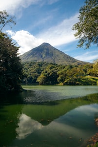 a lake with trees and a mountain in the background