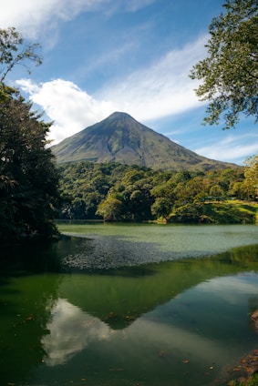 a lake with trees and a mountain in the background