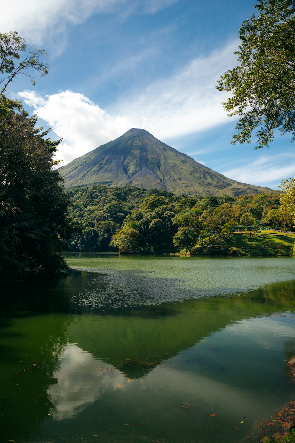 un lac avec des arbres et une montagne en arrière-plan